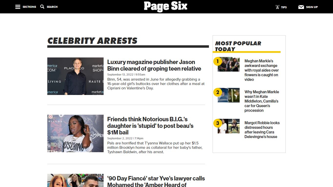 Celebrity Arrests | Page Six
